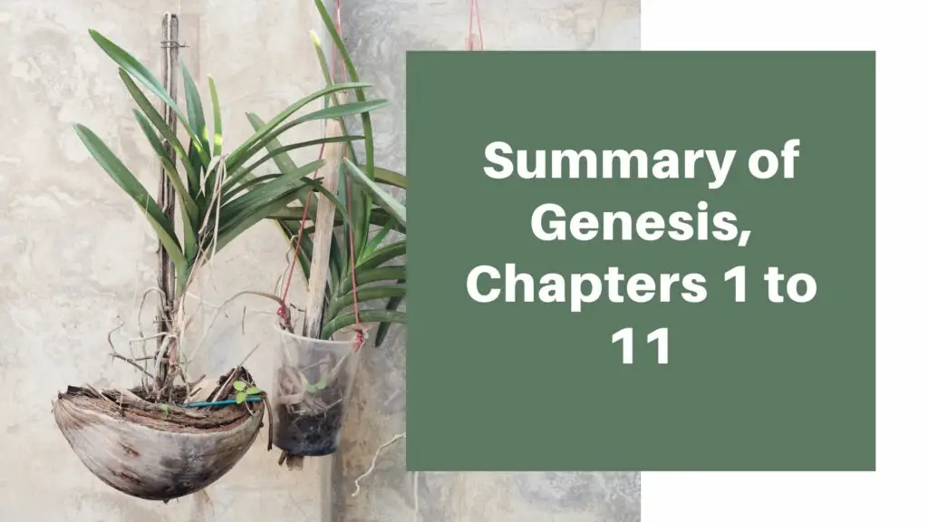Summary of Genesis Chapter 1-11