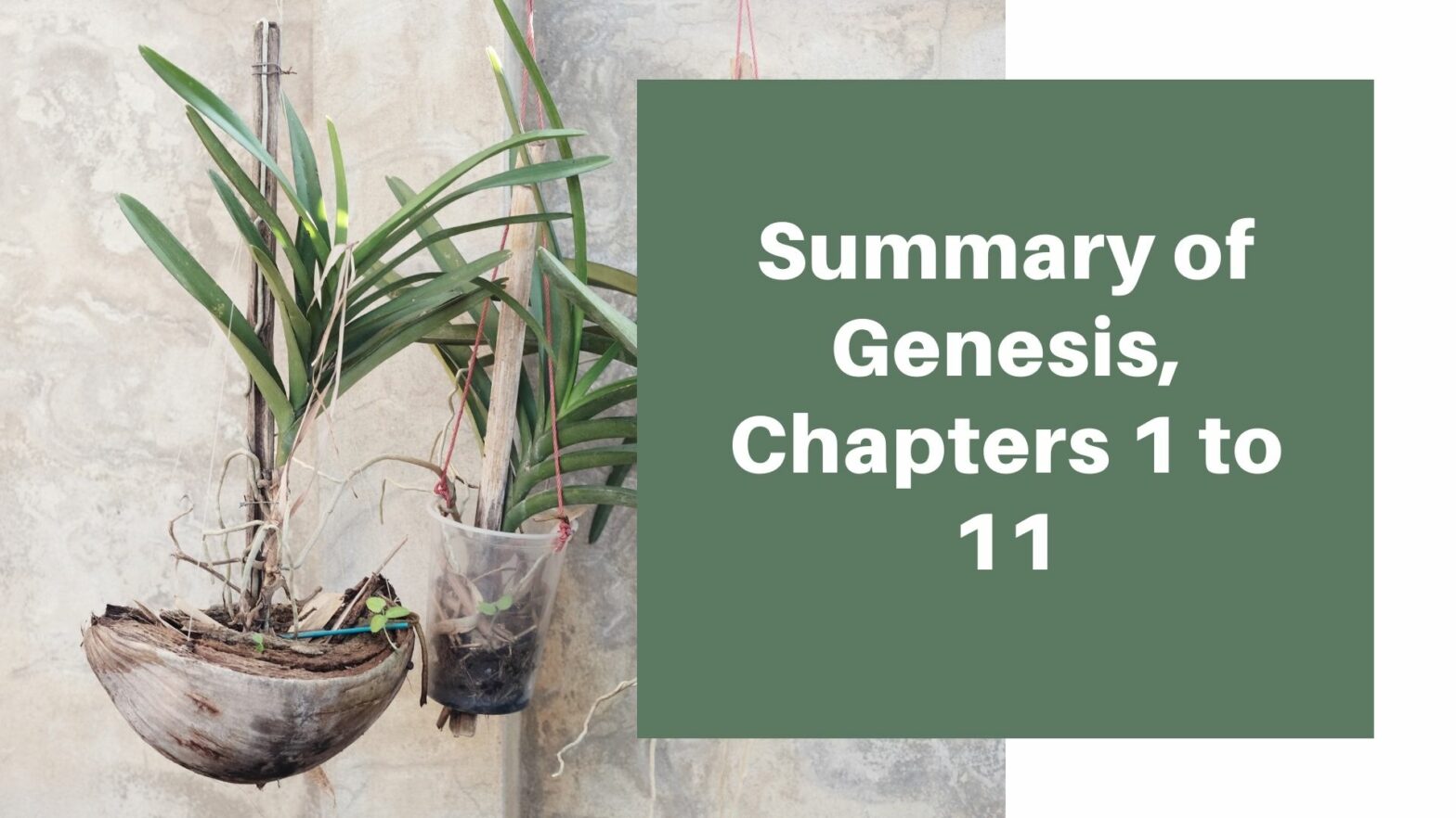 Summary Of Genesis Chapters 1 To 11 Biblical Help