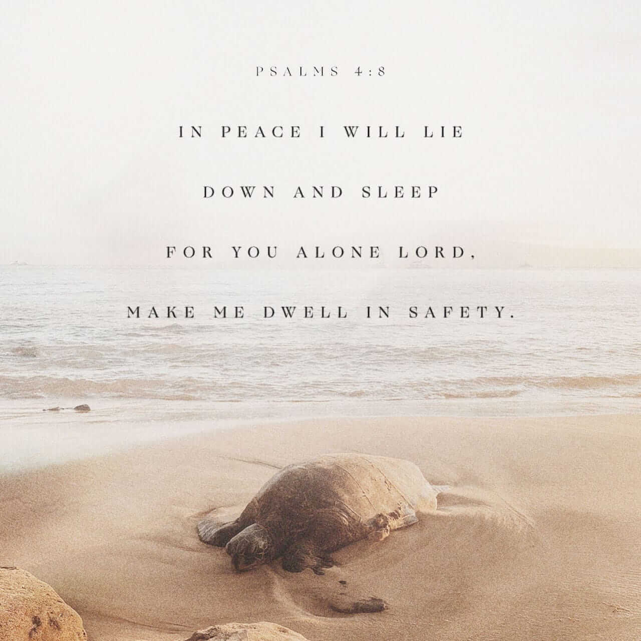 Receive God's peace